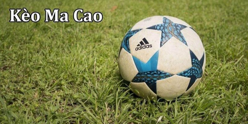 Tham gia tỷ lệ kèo Ma Cao để đến thành công nhanh nhất